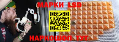 ГАЛЛЮЦИНОГЕННЫЕ ГРИБЫ Шахты