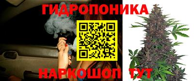 прущая мука Шебекино