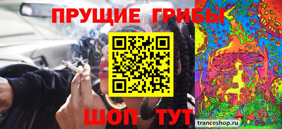 Изобильный  Псилоцибиновые грибы Psilocybine cubensis  закладки  Вход с VPN 